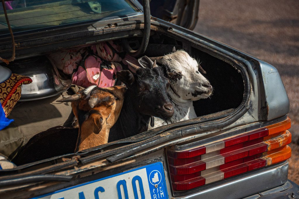 Nouakchott, Mauritanija, 2009 m.
