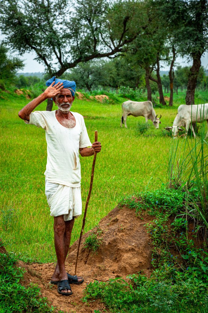 Radžastanas, Indija 2008 m.