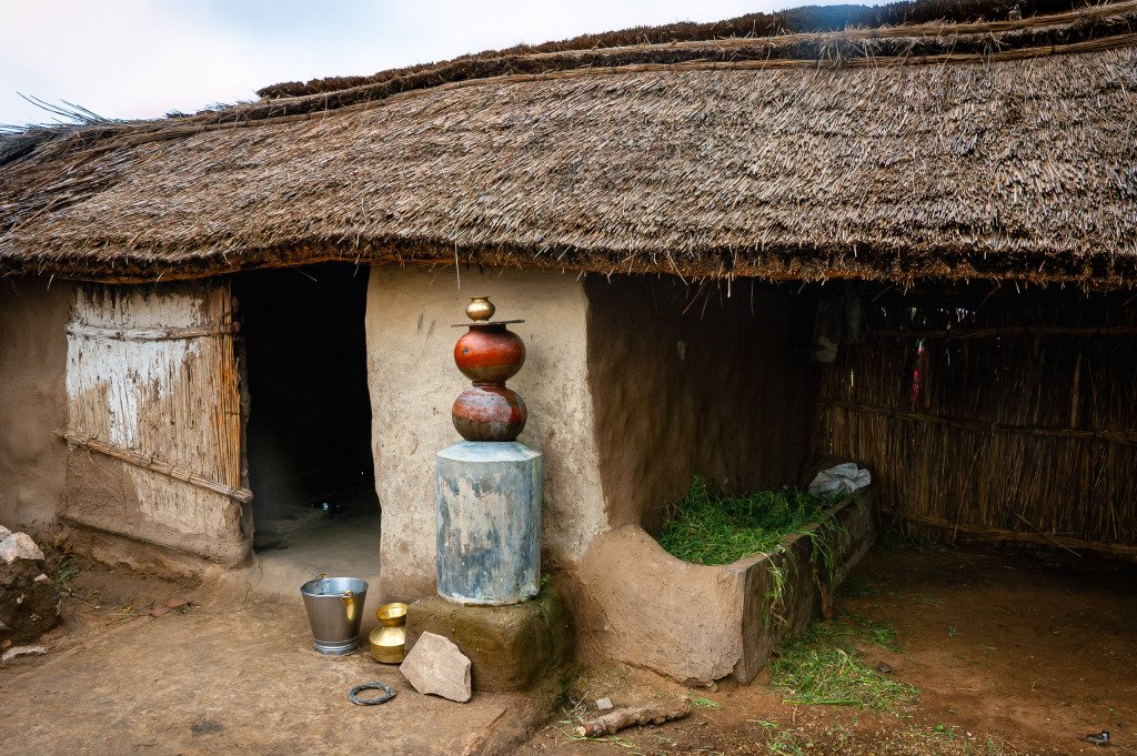 Radžastanas, Indija 2008 m.