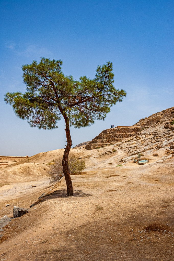 Persepolis, Iranas 2008 m.