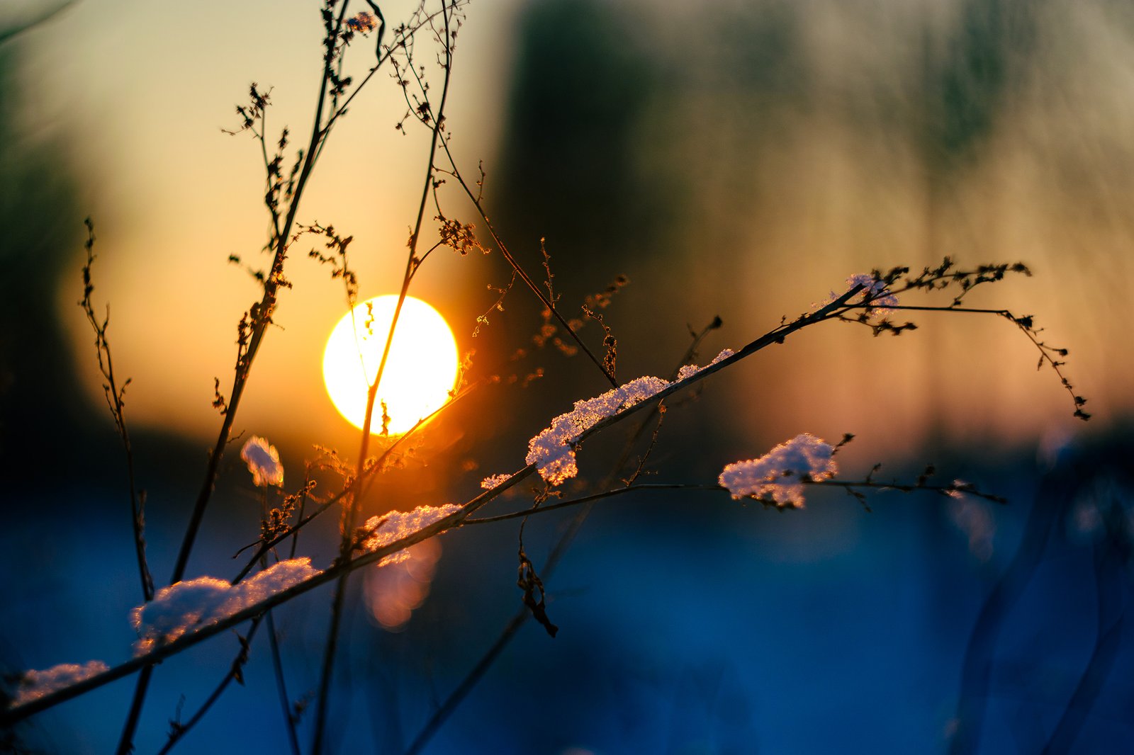 Vakaras leidžias, Pakruojis