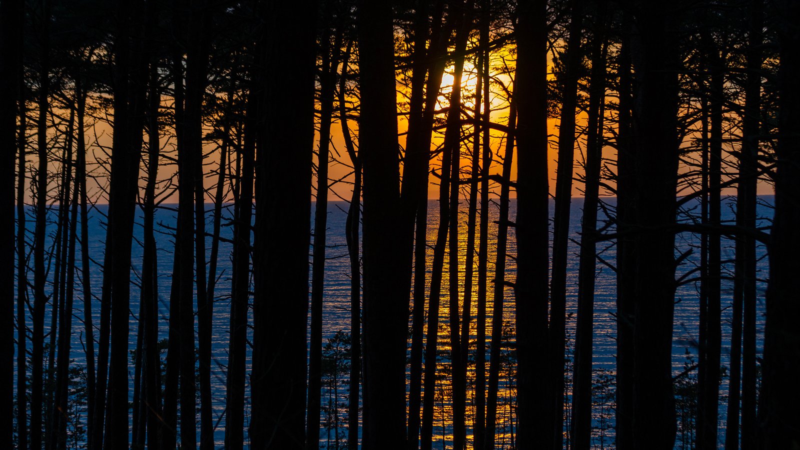 Vakaro juostos, Klaipėda