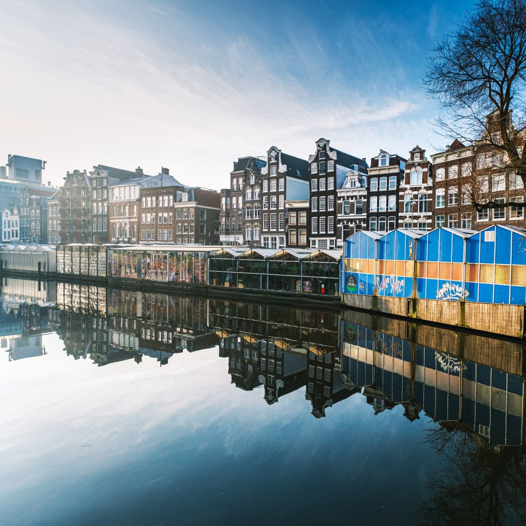 Amsterdamas, Nyderlandai 2025 m.